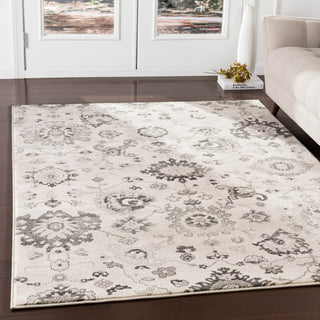 Surya Mesopotamia MEP-2308 Area Rug Room Scene Feature