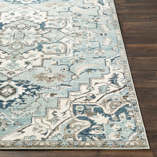 Surya Mesopotamia MEP-2311 Area Rug 