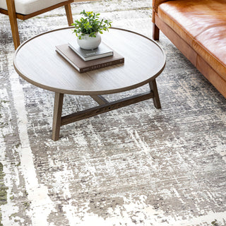 Karastan Tryst Mersi Gray Green Area Rug Lifestyle Image Feature