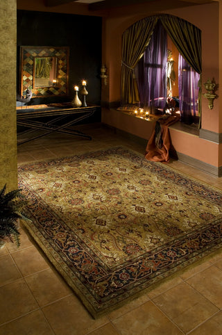 Momeni Moghul MG-04 Gold Area Rug Roomshot Feature