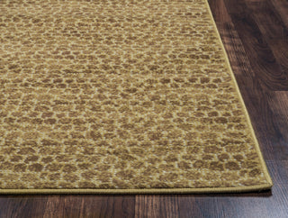 Rizzy Millington MG4872 Brown Area Rug Detail Image