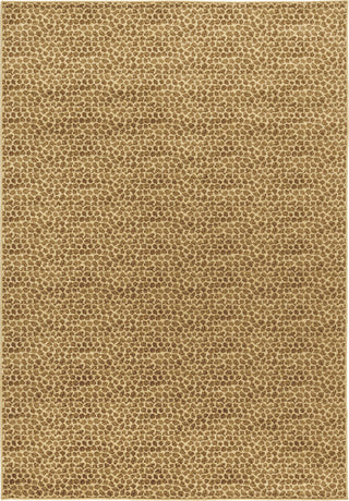 Rizzy Millington MG4872 Brown Area Rug Main Image