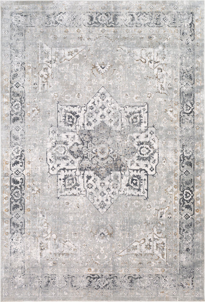 Surya Milano MLN-2305 Area Rug main image