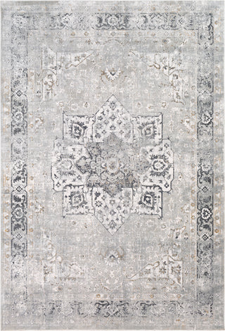 Surya Milano MLN-2305 Area Rug main image