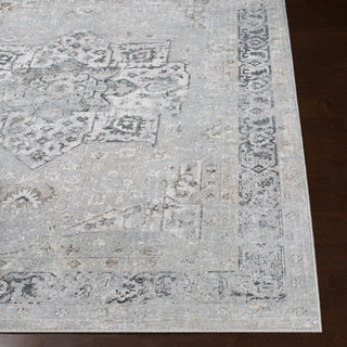 Surya Milano MLN-2305 Area Rug 