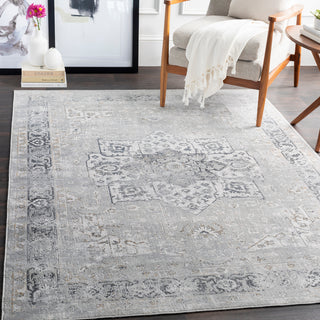 Surya Milano MLN-2305 Area Rug Room Scene Feature