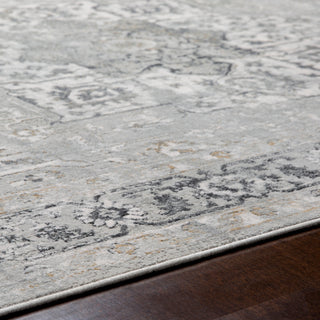 Surya Milano MLN-2305 Area Rug Detail