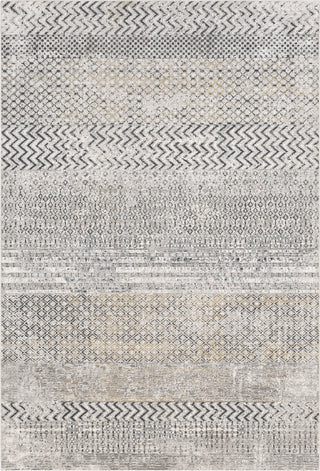 Surya Milano MLN-2308 Area Rug main image