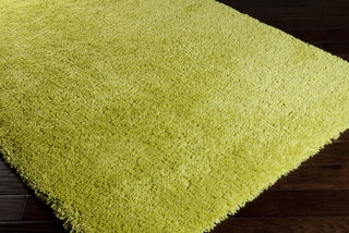 Surya Mellow MLW-9004 Lime Shag Weave Area Rug Corner Shot