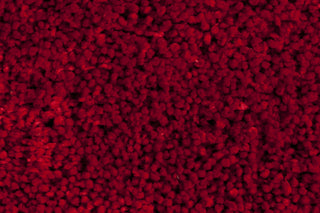 Surya Mellow MLW-9008 Cherry Shag Weave Area Rug Sample Swatch