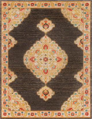 Surya Masala Market MMT-2312 Area Rug Main Image 8 X 10