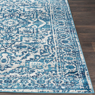 Surya Monte Carlo MNC-2302 Sky Blue Light Gray White Navy Area Rug Detail Image