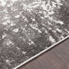 Monte Carlo MNC-2305 Charcoal Light Gray White Area Rug by Surya Texture Image