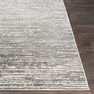 Surya Monte Carlo MNC-2308 Light Gray White Charcoal Area Rug Detail Image