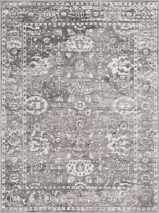 Surya Monte Carlo MNC-2311 Light Gray Charcoal White Area Rug main image