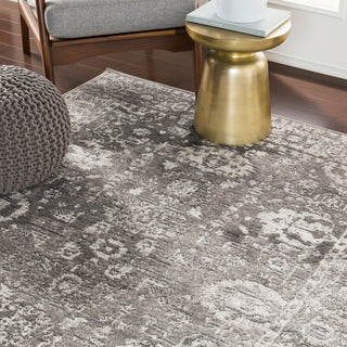 Surya Monte Carlo MNC-2311 Area Rug Room Image Feature