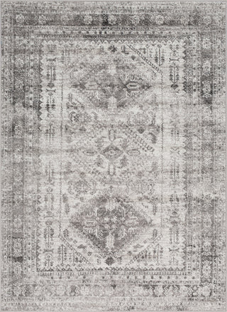 Surya Monte Carlo MNC-2314 Light Gray White Charcoal Area Rug main image