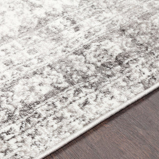 Surya Monte Carlo MNC-2314 Light Gray White Charcoal Area Rug Texture Image