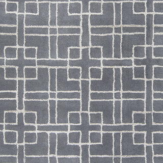 Surya Manor MNR-1013 Gray Area Rug by GlucksteinHome Sample Swatch