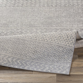 Livabliss Monaco MOC-2304 Area Rug