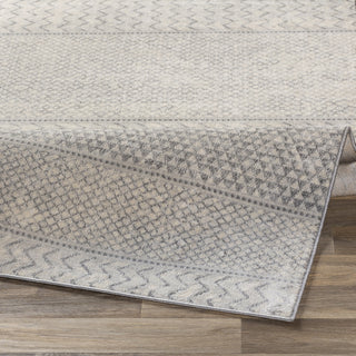 Livabliss Monaco MOC-2306 Area Rug