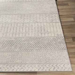 Livabliss Monaco MOC-2306 Area Rug