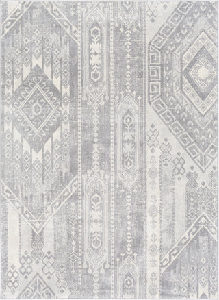 Surya Monaco MOC-2331 Area Rug main image