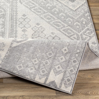 Surya Monaco MOC-2331 Area Rug