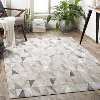 Surya Medora MOD-1022 Area Rug Room Scene Feature