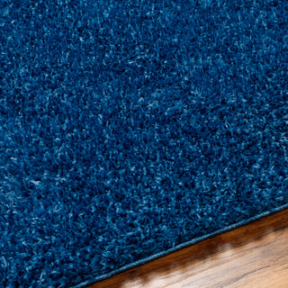 Surya Moda Shag MOG-2303 Area Rug Detail