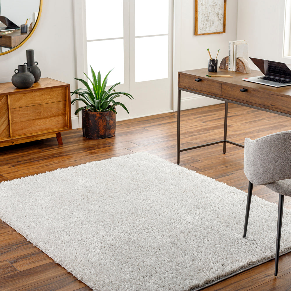 Surya Moda Shag MOG-2309 Area Rug Room Scene Feature