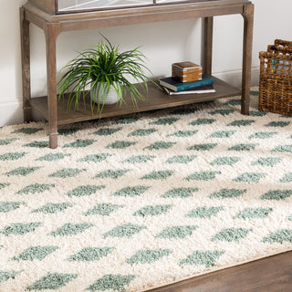 Mohawk Home Laguna Adona Aqua Area Rug Main Feature