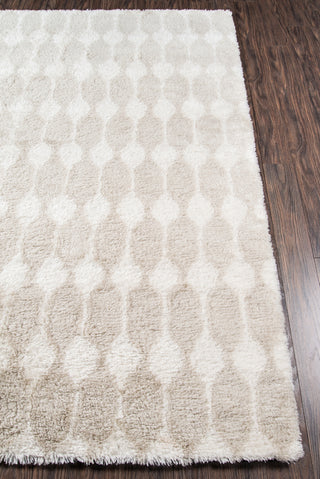 Momeni Retro RET-4 Taupe Area Rug by Novogratz Close Up Feature