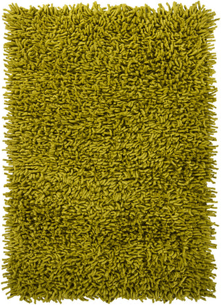 Chandra Montaro MON-20402 Green Area Rug main image