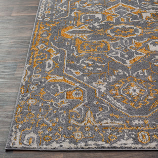 Surya Marrakesh MRH-2316 Area Rug Detail Image