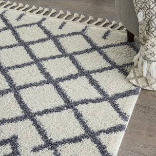 Nourison Moroccan Shag MRS01 White Area Rug