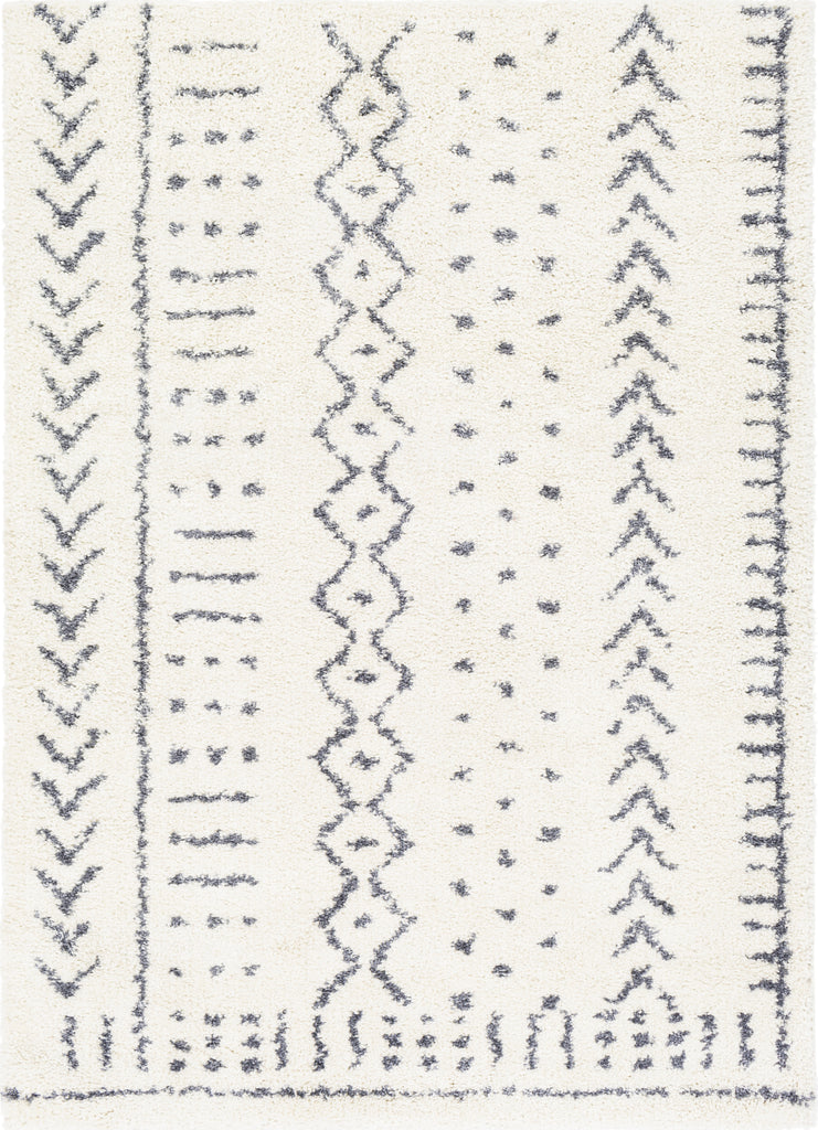 Surya Maroc Shag MRS-2302 Area Rug main image