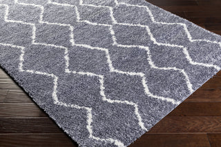Surya Maroc Shag MRS-2306 Area Rug  Feature