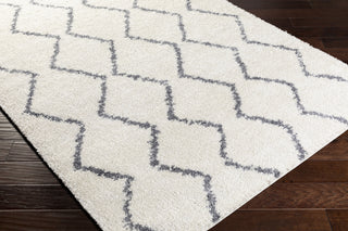 Surya Maroc Shag MRS-2307 Area Rug  Feature
