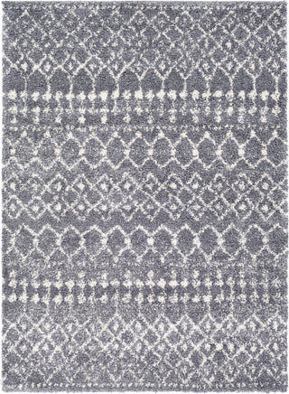 Surya Maroc Shag MRS-2308 Area Rug main image