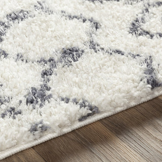 Livabliss Maroc Shag MRS-2310 Area Rug