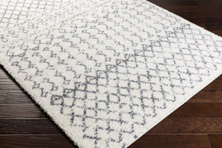 Surya Maroc Shag MRS-2311 Area Rug