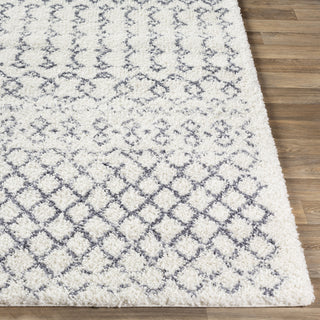 Surya Maroc Shag MRS-2311 Area Rug