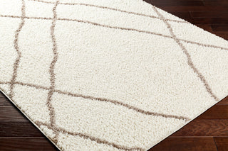 Surya Maryland Shag MSG-2302 Area Rug Corner Shot