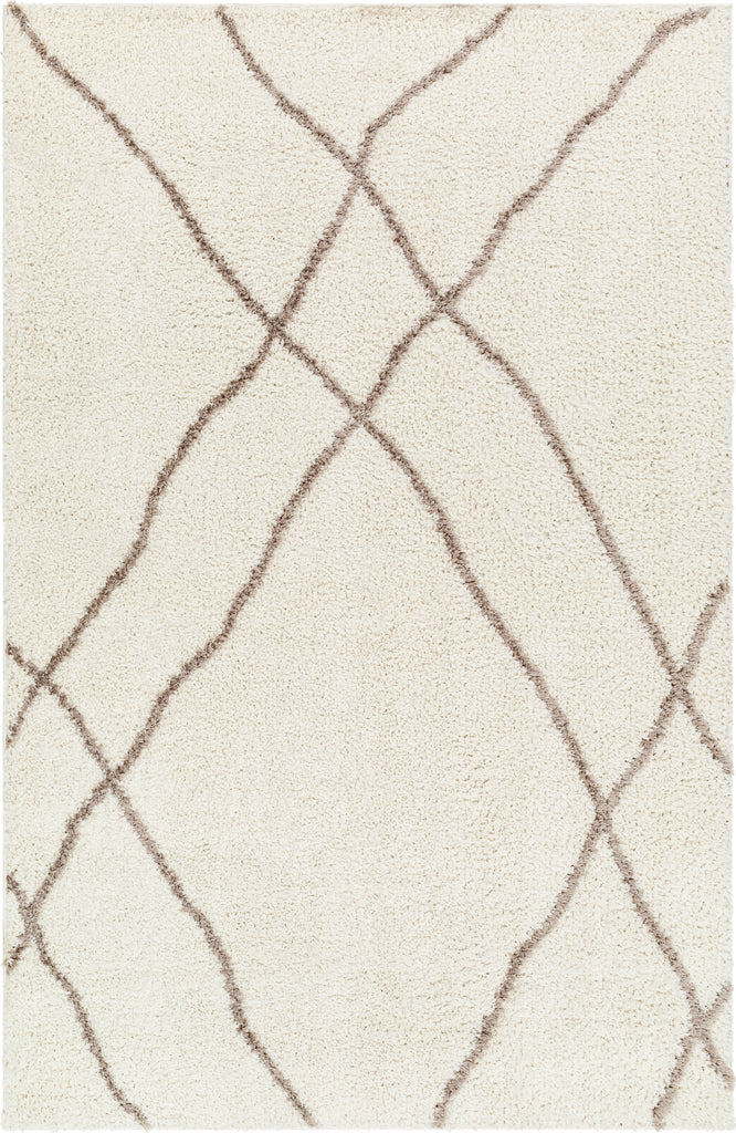 Surya Maryland Shag MSG-2302 Area Rug main image