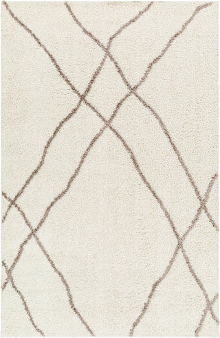 Surya Maryland Shag MSG-2302 Area Rug main image