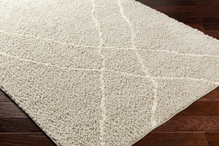 Surya Maryland Shag MSG-2303 Area Rug Corner Shot
