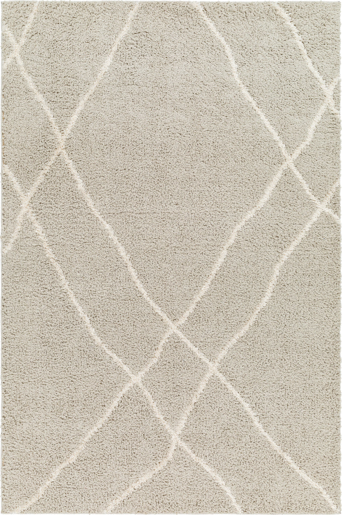 Surya Maryland Shag MSG-2303 Area Rug main image
