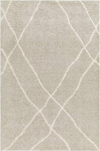 Surya Maryland Shag MSG-2303 Area Rug main image