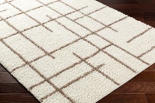 Surya Maryland Shag MSG-2304 Area Rug Corner Shot